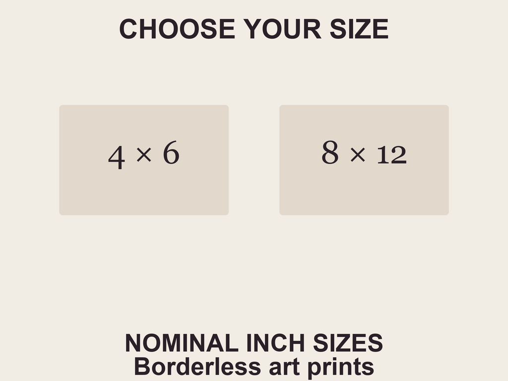 Two portrait options: nominal 4 by 6 or 8 by 12 inches. No printed border.