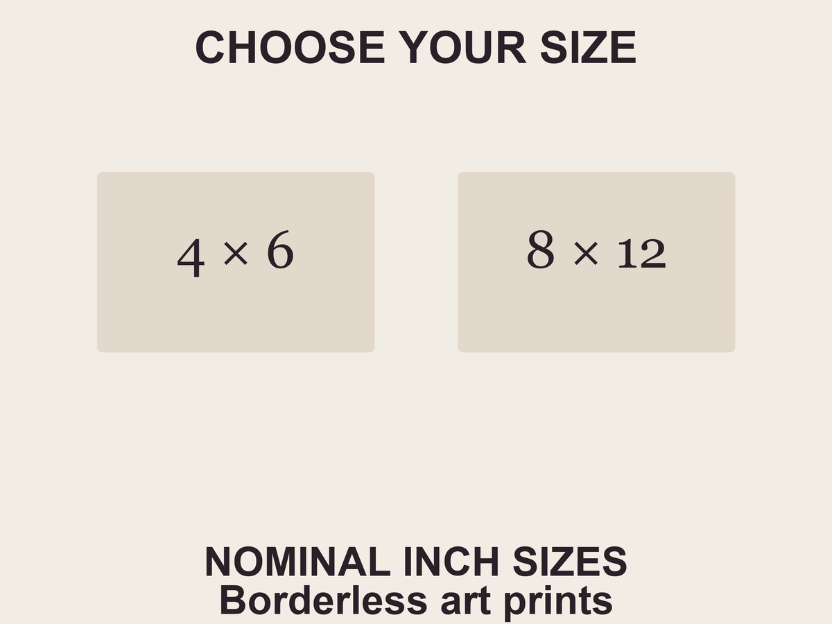 Two portrait options: nominal 4 by 6 or 8 by 12 inches. No printed border.
